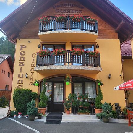 Pensiunea Gianina Arieşeni Exterior foto