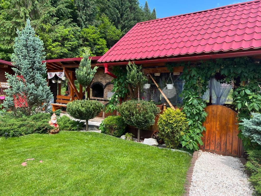 Pensiunea Gianina Arieşeni Exterior foto