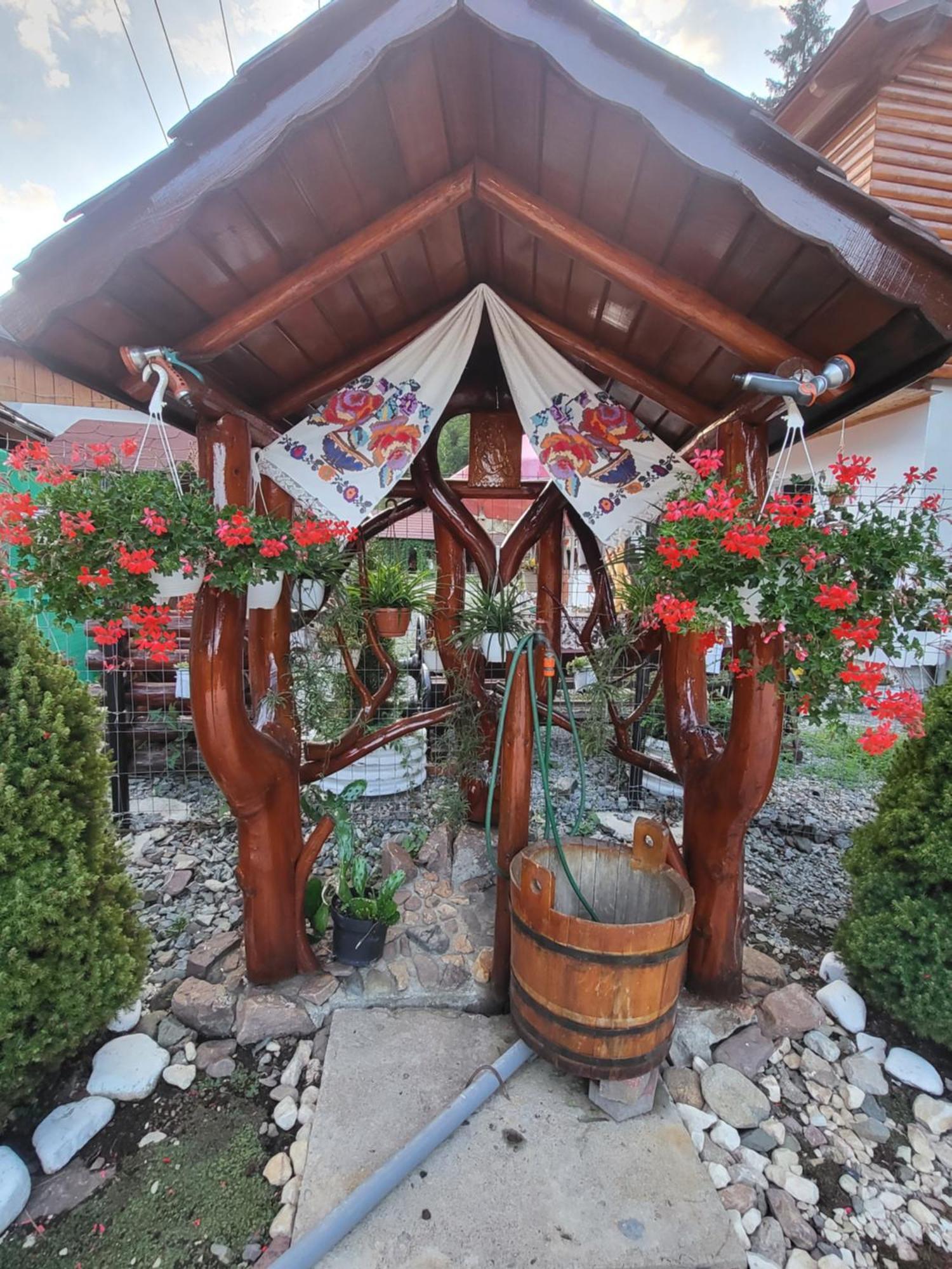 Pensiunea Gianina Arieşeni Exterior foto